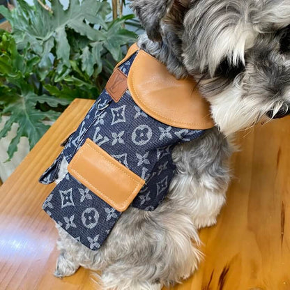 Classy dog coat with harness W605