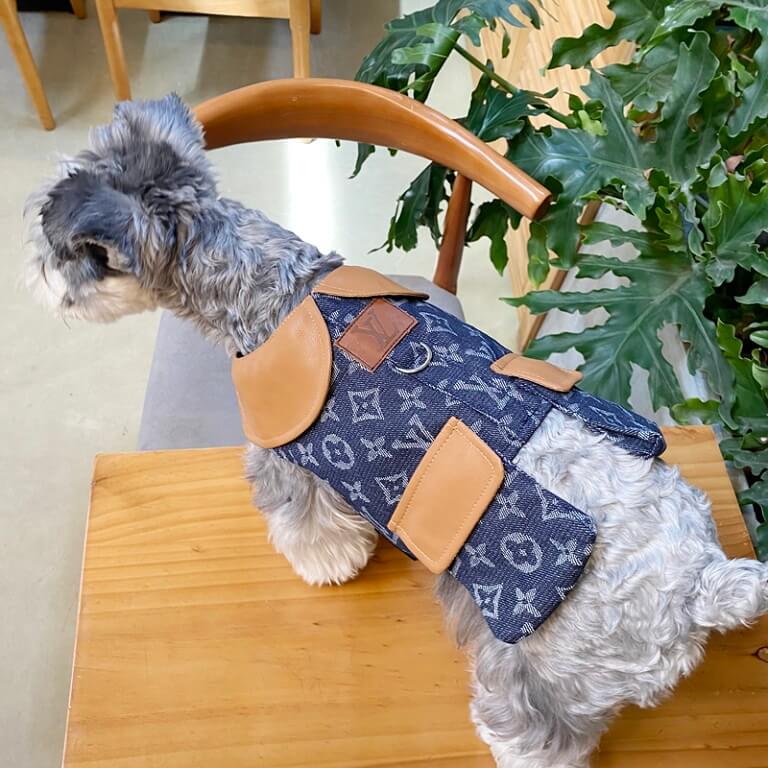 Classy dog coat with harness W605