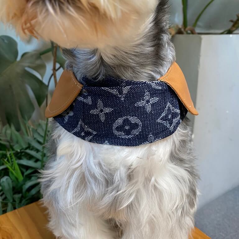 Classy dog coat with harness W605