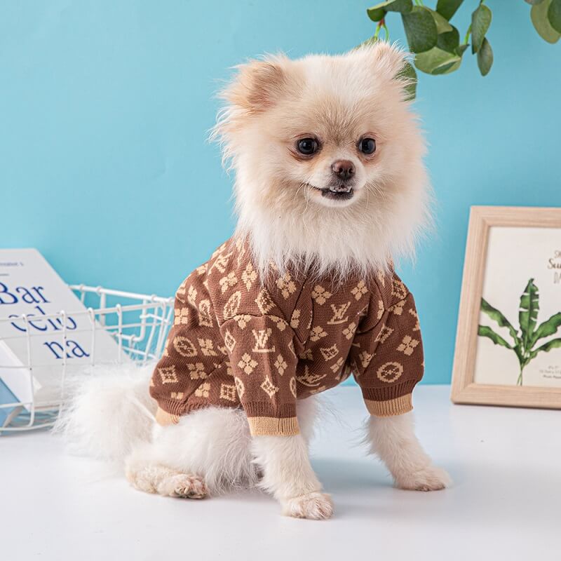 xxl dog sweater W596
