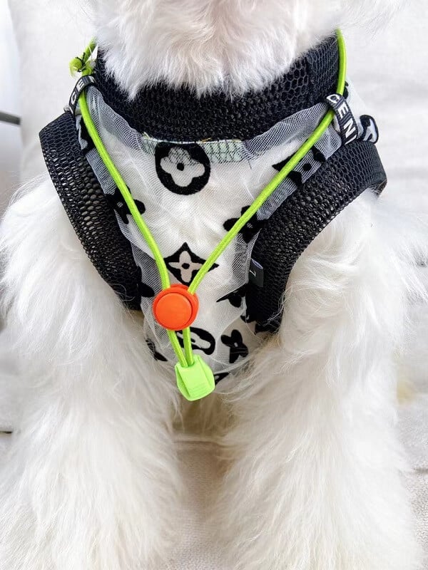 Mesh Dog Dress w570#