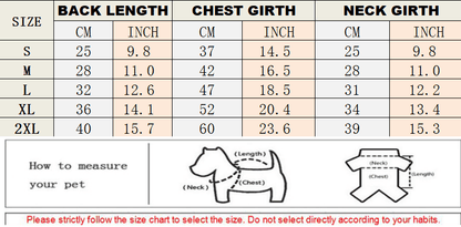 cartoon bear dog T-shirt w524