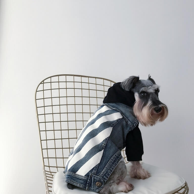 Dog denim vest 125#