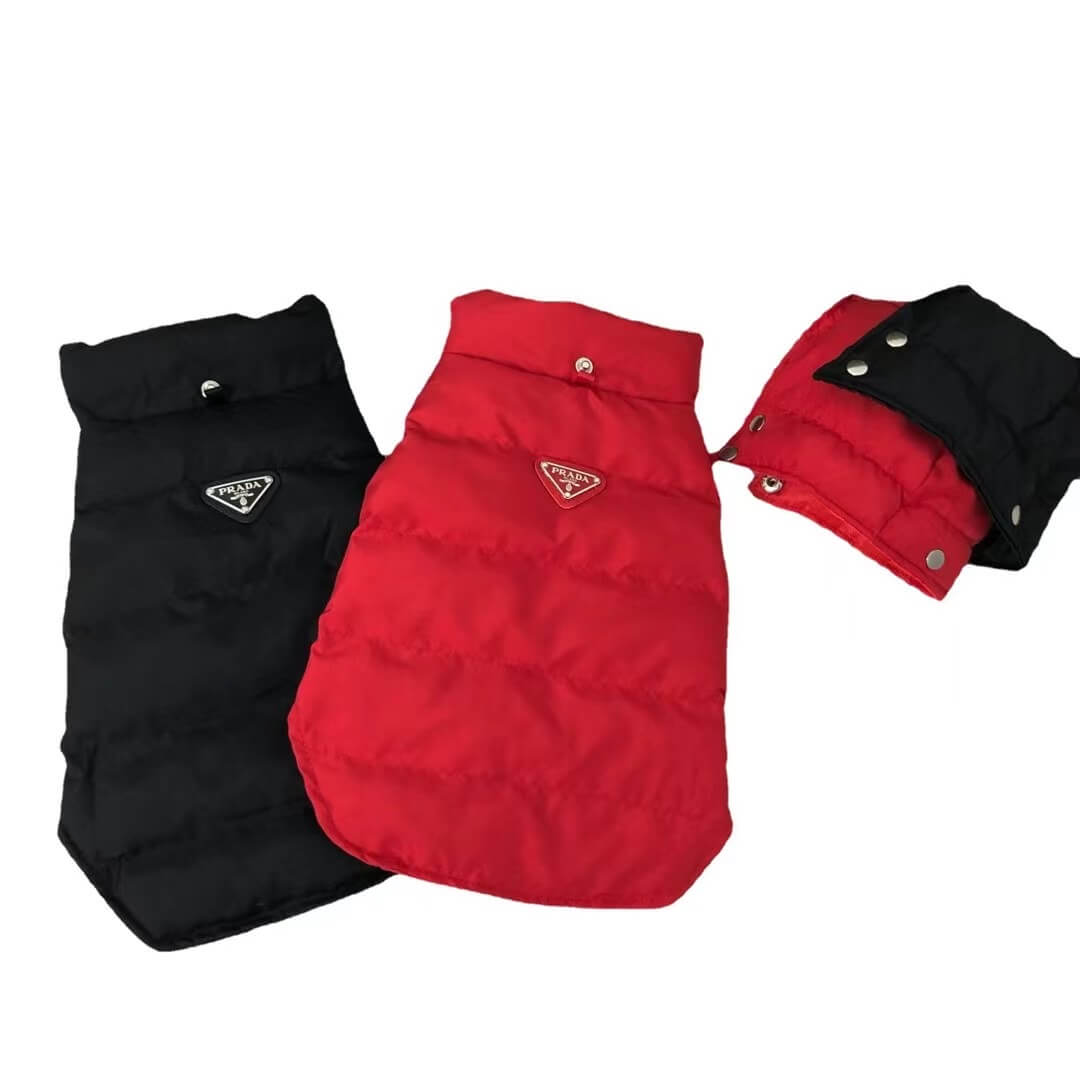 designer winter jacket for dogs w426#