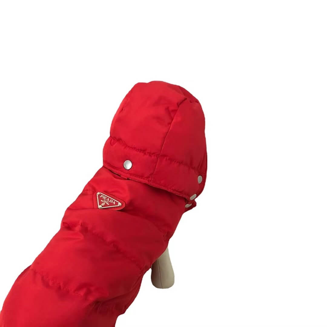designer winter jacket for dogs w426#