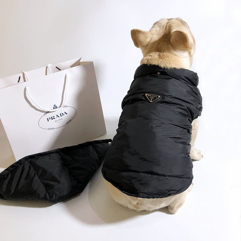 designer winter jacket for dogs w426#