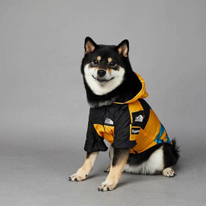 The best new dog rain jacket  w602#