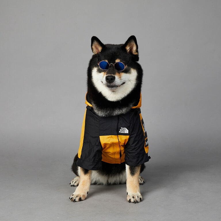 The best new dog rain jacket  w602#