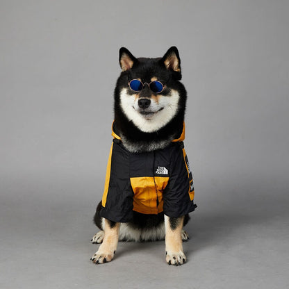 The best new dog rain jacket  w602#