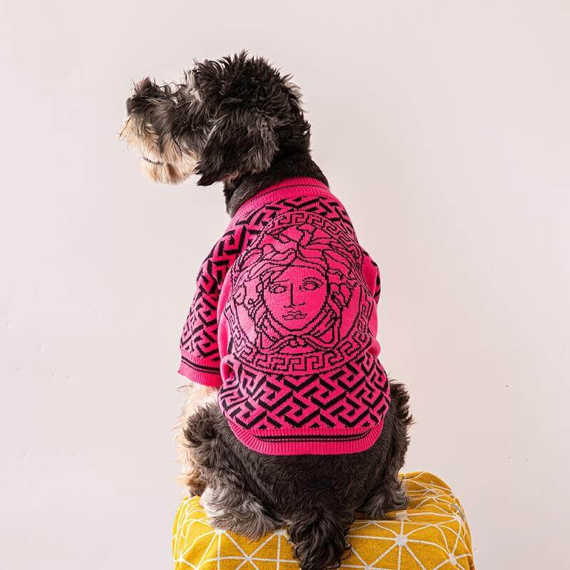 Dog clothing for winter w584#