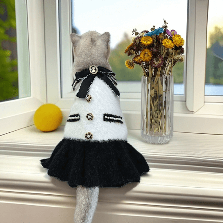 designer cat clothes qw686