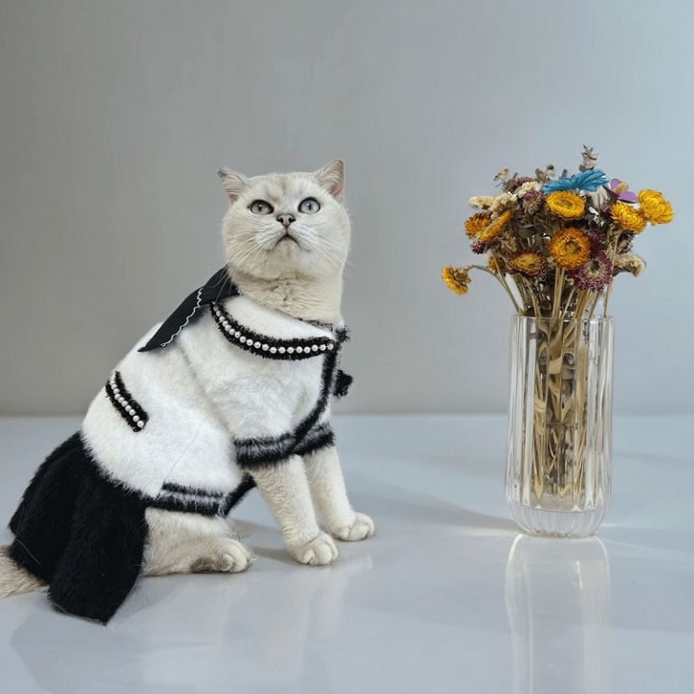 designer cat clothes qw686