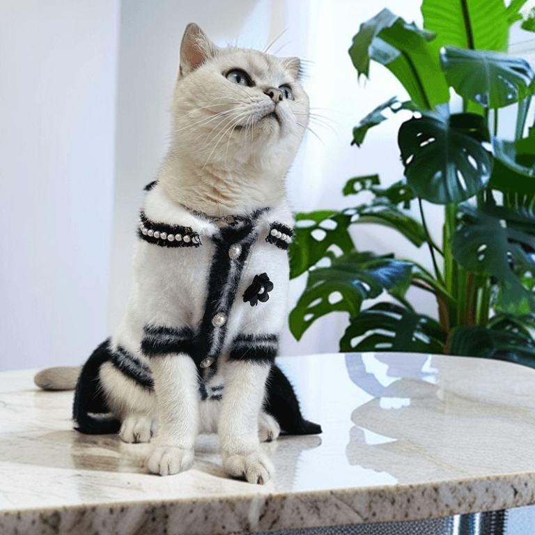 designer cat clothes qw686