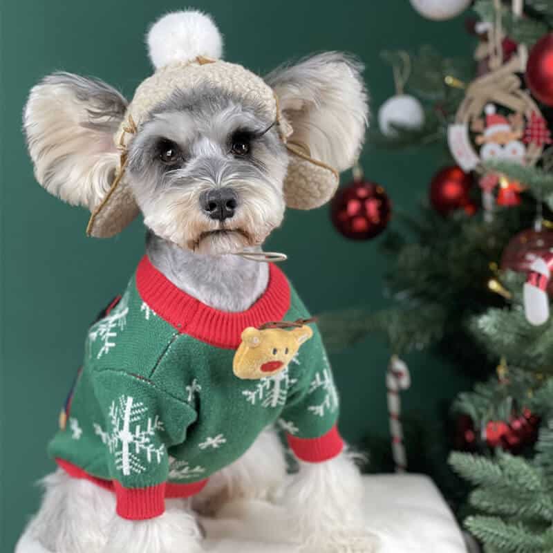 Dog christmas sweater w493#