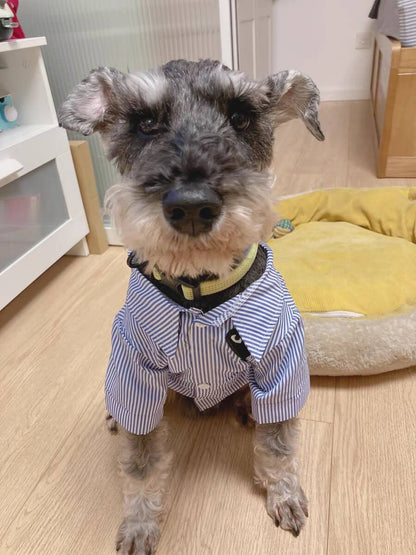 Fashion dog shirt 167#