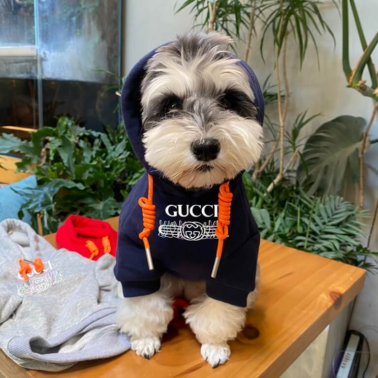 custom hoodie for dogs