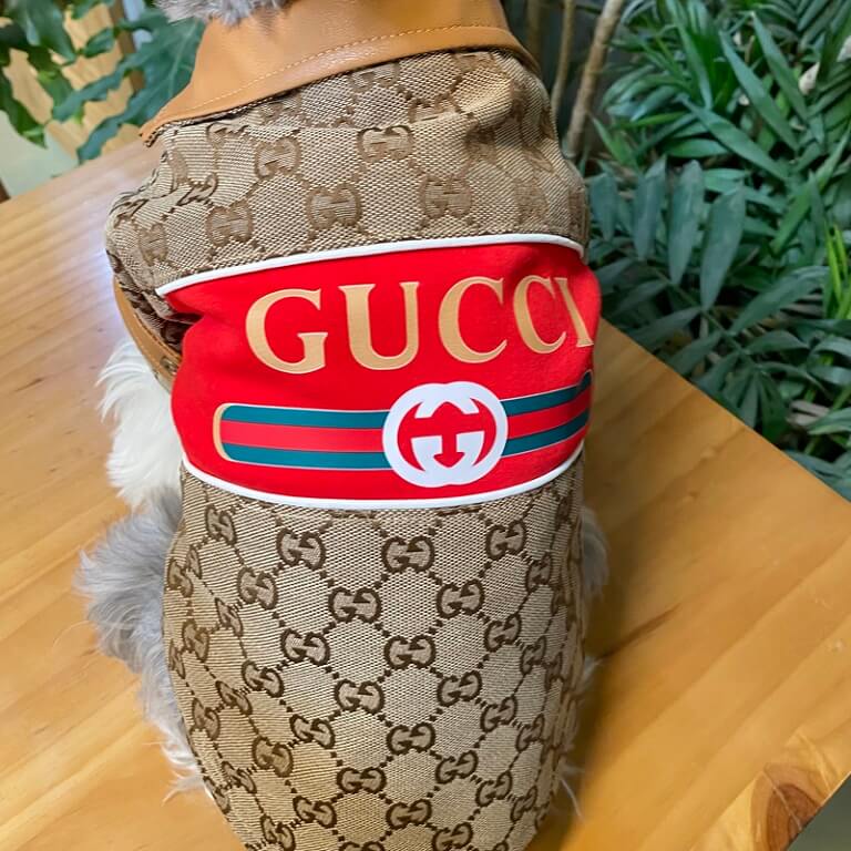 designer coats for small dogs QW679