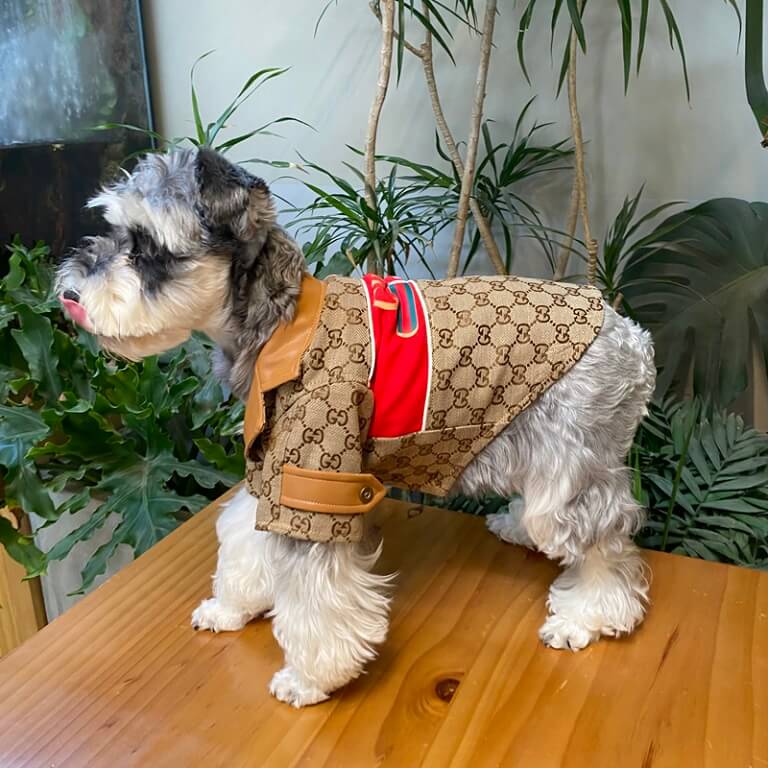 designer coats for small dogs QW679