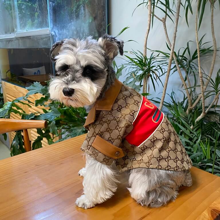 designer coats for small dogs QW679