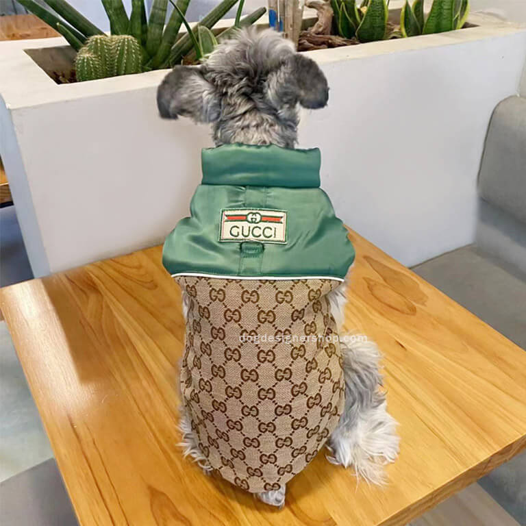 Designer dog coats with leash w627#