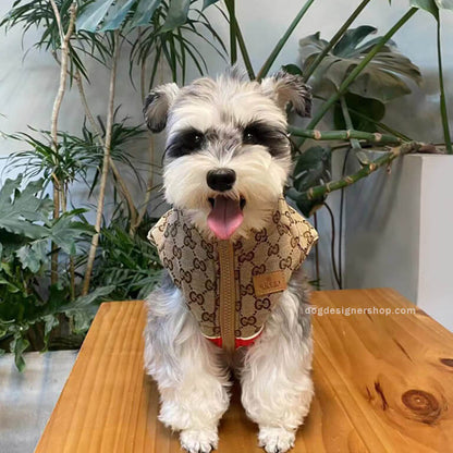 Designer dog coats with leash w627#