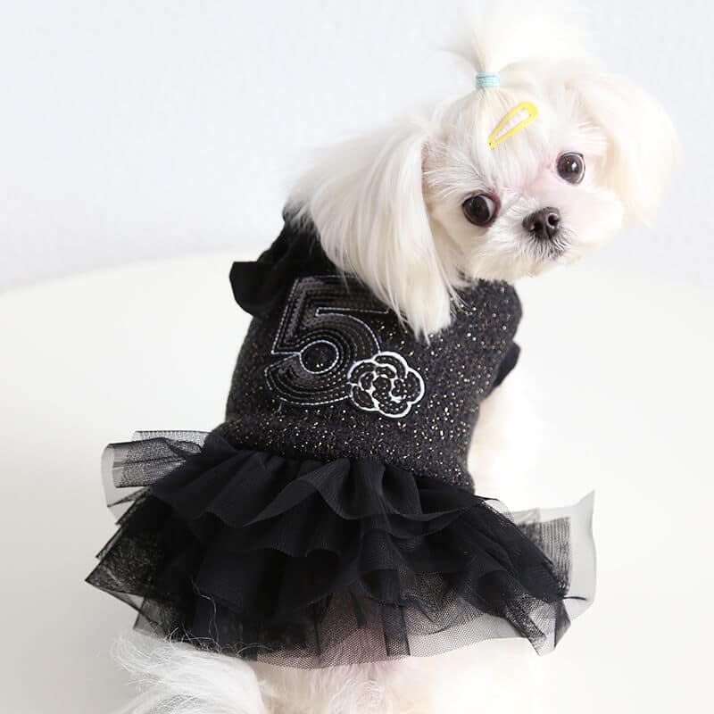 Designer female dog dress w539#