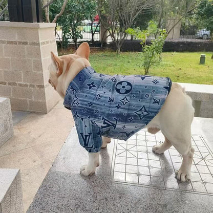 designer winter dog coat QW674