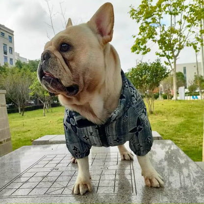 designer winter dog coat QW674