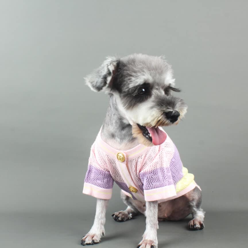 Stylish dog cat cardigan sweater w446#