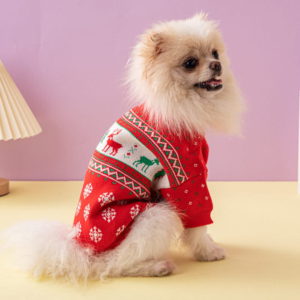 Dog christmas sweater w481#