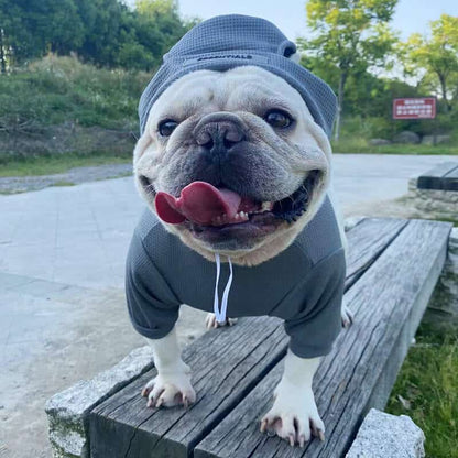 essentials dog clothes w575#