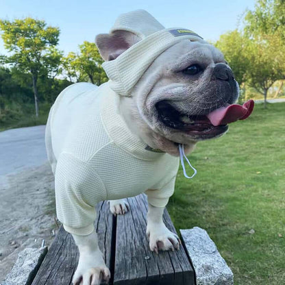 essentials dog clothes w575#