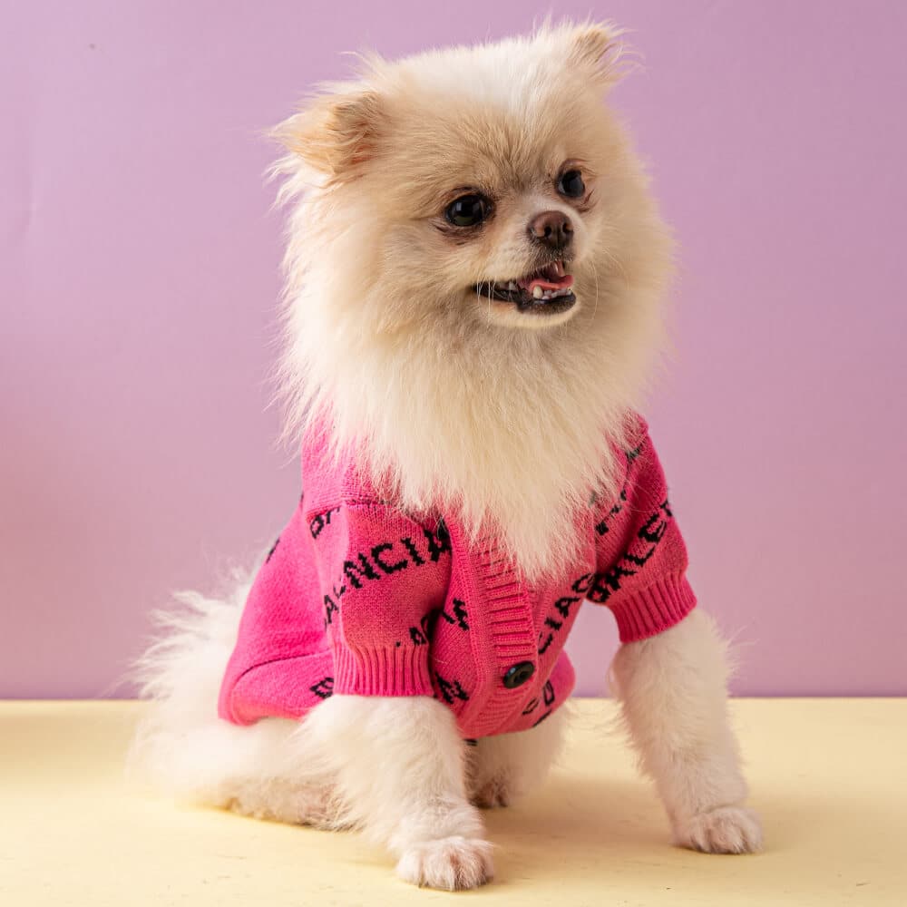 cute doggy sweater W472#
