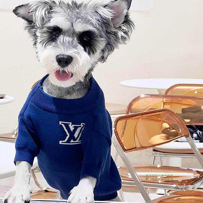 Blue Black Sweater For Dogs W615#