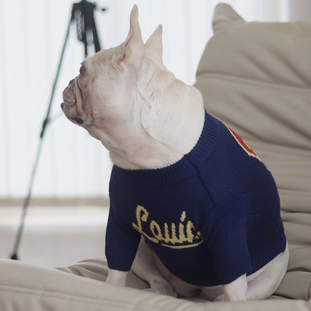 Blue dog sweaters w498#