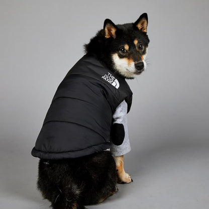 black puffer jacket dog coat w482#