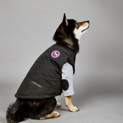 black puffer jacket dog coat w482#