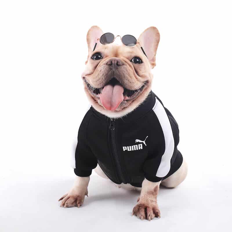 Ruma dog fashion jacket w053#