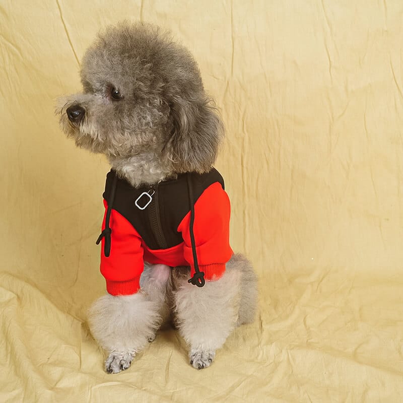 Red Black Dog hoody w540#