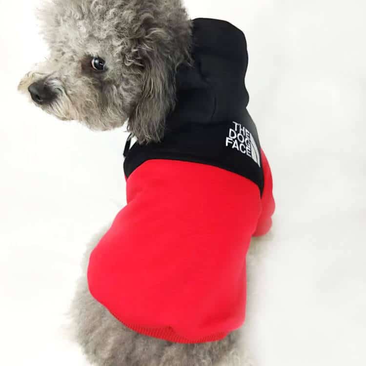 Red Black Dog hoody w540#